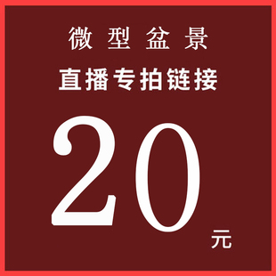 直播专拍黄荆盆景树桩熟桩室内盆栽绿植咨询客服2百
