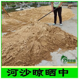 粗河沙花用粗沙粒细沙种植鱼缸底铺面宠物蚂蚁珍珠岩养花用大颗粒