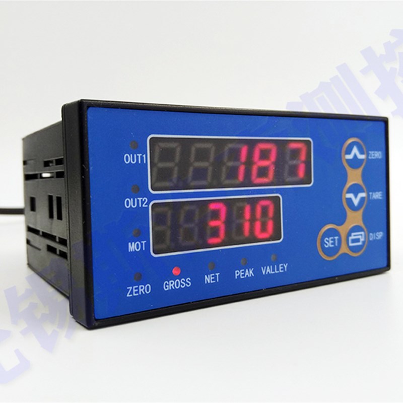 高精度称重控制仪 CTB6(F) 称重仪表 力值显示控制仪B6(F)系列