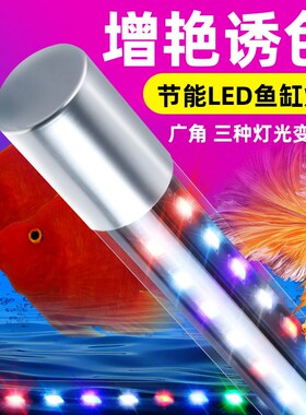 鱼缸灯led灯防水草灯观赏灯照明专用灯小鱼缸灯管上方潜水水族箱