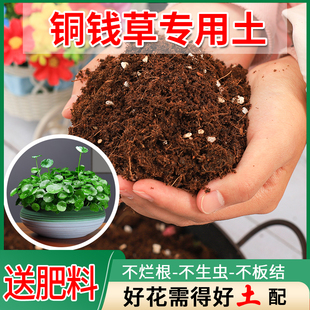 铜钱草土培专用盆养花通用型花土家用盆栽椰糠腐殖腐叶土营养肥土