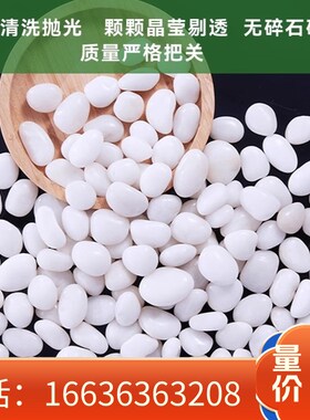 江苏白色鹅卵石装饰造景鹅卵石石头庭院景观阳台铺地精抛光白石子