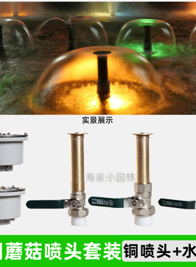 铜蘑菇喷头带PPR阀门LED水下灯低压七彩灯暖光灯水景景观喷泉组合
