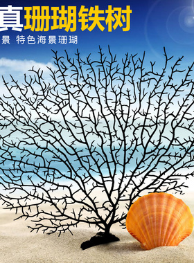仿真海铁树珊瑚树枝黑色红色鱼缸造景水族箱装饰摆件海底世界