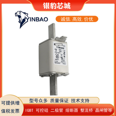 170M2682 170M2683 170M2684 170M2685巴斯曼熔断器