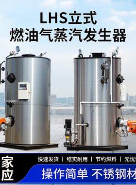 生产厂家立式燃油气蒸汽发生器用于桥梁养护菊花烘干蒸煮食品