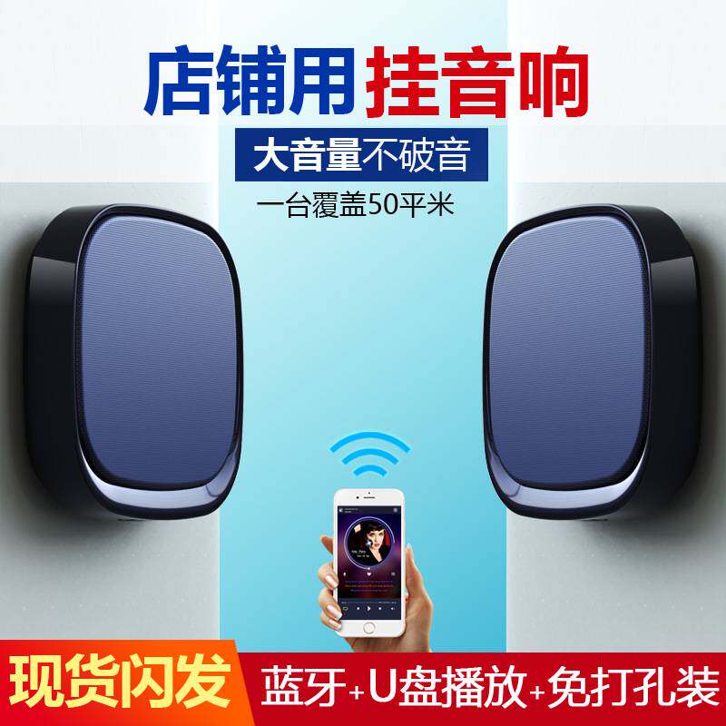 新款室内家用壁挂蓝牙音响商用智能挂式无线音箱挂墙上店铺喇叭