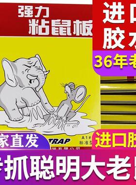 老鼠贴强力粘胶灭鼠板超强粘度鼠