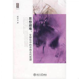 中国古代哲理张祥龙 正版 思想避难：全球化中 书籍 著9787301114506