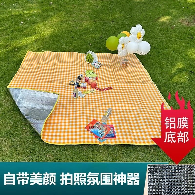 野餐垫户外徒步休闲公园坐垫加厚图片