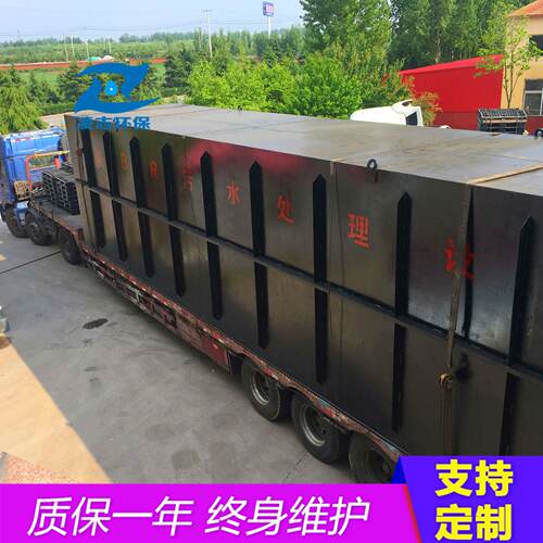 WSZ-10/1一体污水处理置设备化 生活污水处理程装 屠工宰污水处理