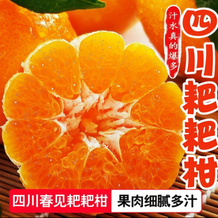 四川春见耙耙柑新鲜水果粑粑柑橘子 果大更甜 下单立减50