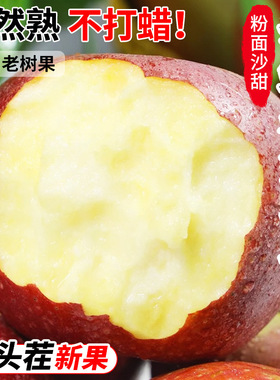 【下单立减50】秦冠苹果粉面沙甜苹果新鲜水果宝宝老人皆宜粉糯