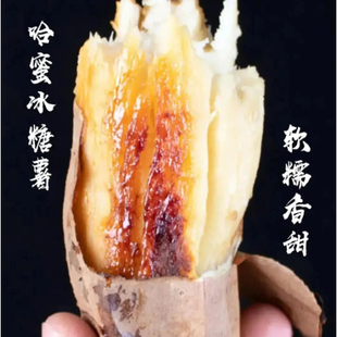 【下单立减50】正宗白哈密薯新鲜白薯软糯香甜健康粗粮白心红薯