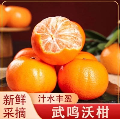 【下单立减50】广西武鸣沃柑当季新鲜水果香甜柑橘采摘皮薄多汁