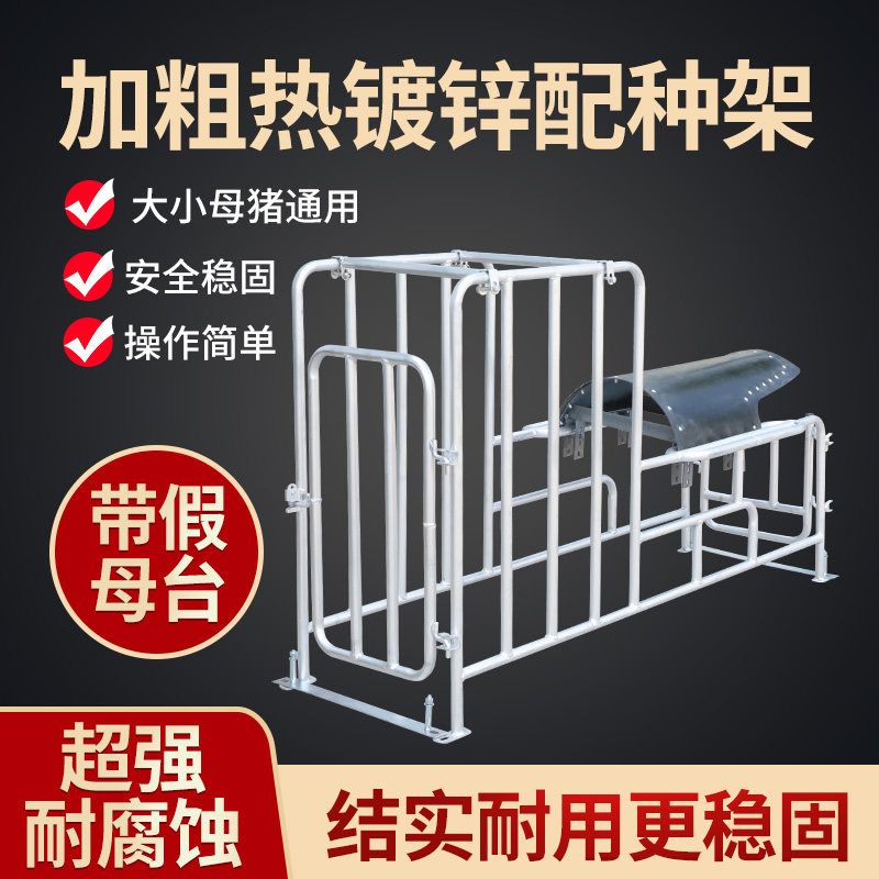 种猪小母猪架配种架采精支架公猪用配种栏猪人工授精设备配种神器