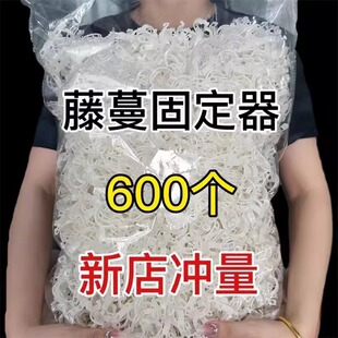 绿植果树植物固定夹卡扣藤蔓固定器秧苗爬藤支撑杆果蔬秧苗吊秧夹