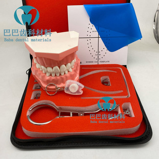 牙科 橡皮樟备牙模型 口腔橡皮障工具套装 橡皮章打孔器包邮