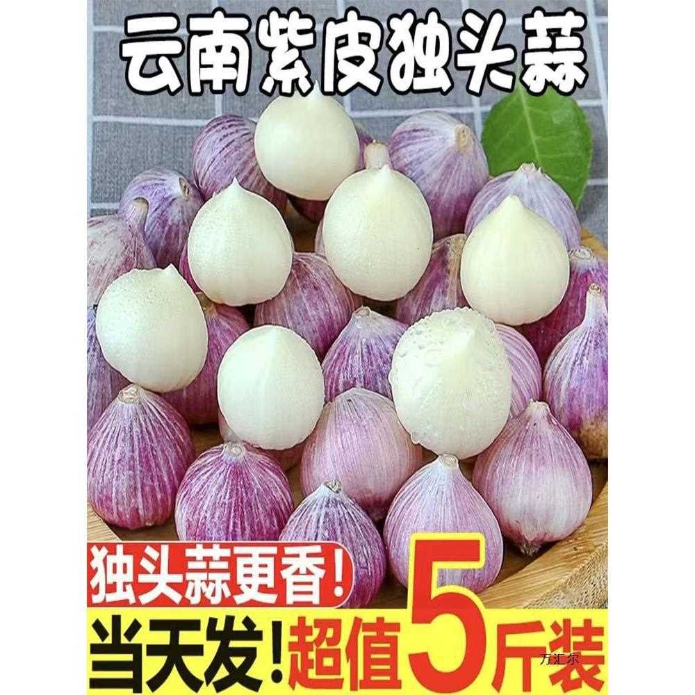 云南紫皮独头蒜10斤新鲜当季独蒜大蒜红皮新蒜干蒜头独子农家腌制