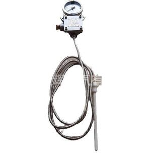 W0TZ-d285测温表度温范围-1WTZd-28500℃