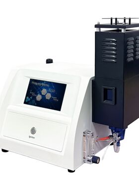 FP640火焰光度计/K:0-100mmol/L、Na:0-100mmol/L