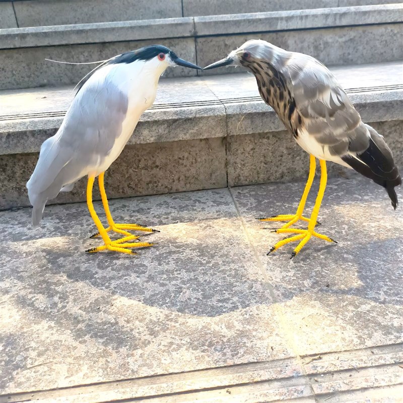 新款仿真羽毛夜鹭夜游模型户外G园林道具摆件夜游鹤夜游鸟