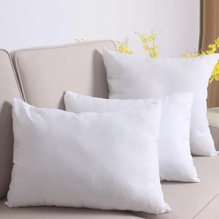 60x85/65x80 85 90 100大号靠枕芯床头N沙发办公室抱枕靠垫芯一只