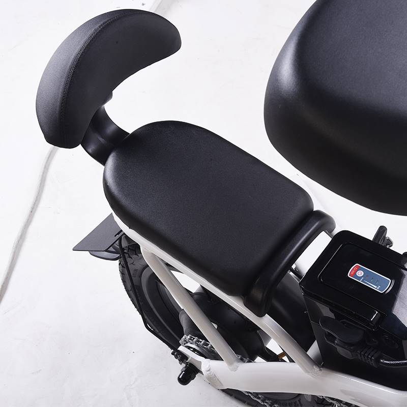 折叠电动车F3/GT3/M321Pro 定制后座金属车筐车篓车篮