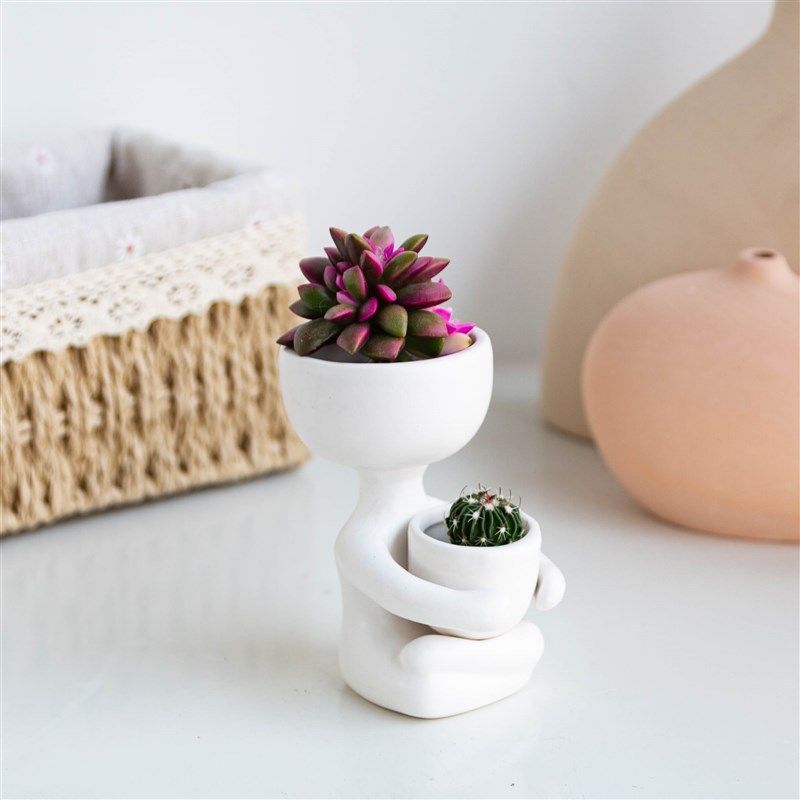 树上星球创意仙人球组合盆栽室内桌D面摆件礼物仙人掌绿植多肉植,鲜花速递/花卉仿真/绿植园艺,多肉植物,淘宝优惠券,粉丝福利购,淘宝优惠卷