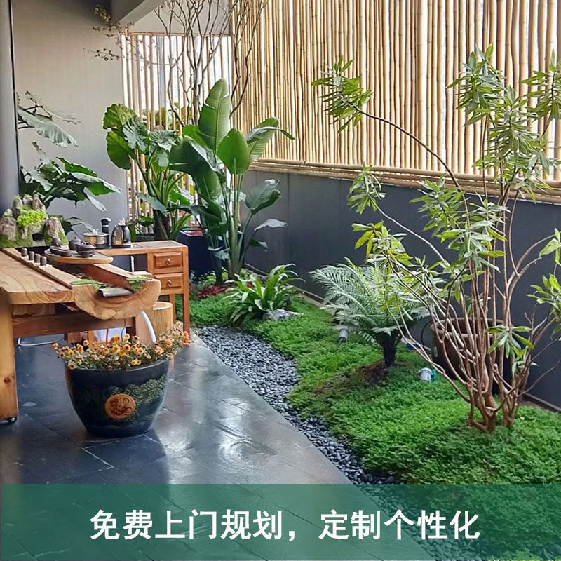 成都绿植租赁办公室绿植租赁绿植租摆植物短租花园U设计大中小绿