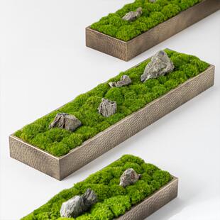 新中式永生苔藓干花绿植盆景装饰玄关餐桌茶几会议桌洽谈桌摆件