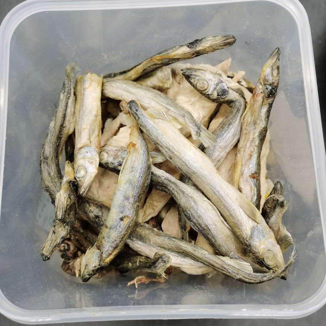 12种宠物零食500g冻干桶狗狗冻干肉粒鸡肉鸭肉奶酪蛋黄粒犬猫,宠物/宠物食品及用品,狗零食罐,淘宝优惠券,粉丝福利购,淘宝优惠卷