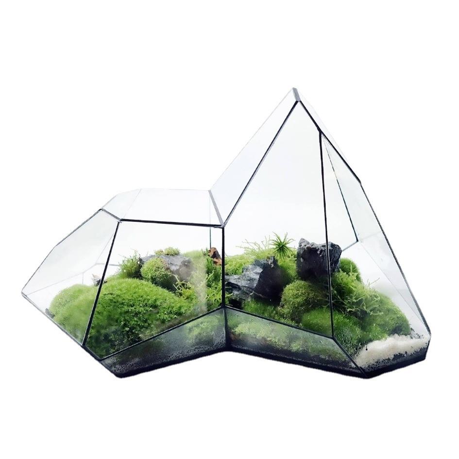 微景观苔藓雨林缸几何森林墙玻璃花房不规则生态瓶多肉水草缸花盆