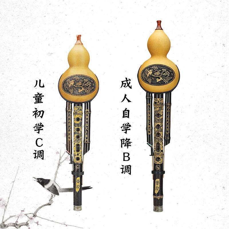 葫芦器初学成人专业演奏型儿童小学生入门防摔胡芦丝C调降b调