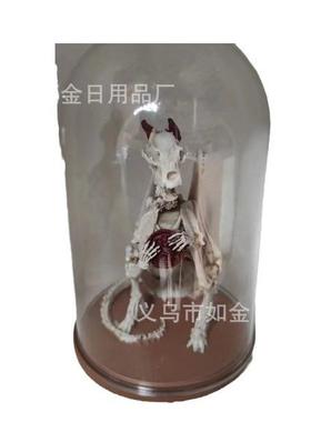Dragonlingskeletoncuriositycabinet美人鱼龙骨架罩创意礼物