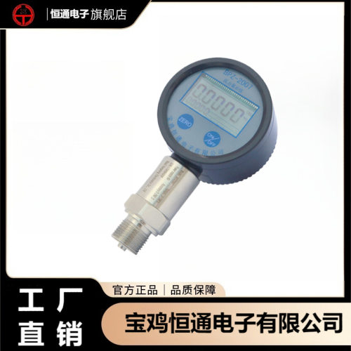 恒通9V电池供电 五位显示变送器仪表φ100螺纹M20*1.5数字压力仪