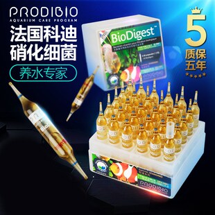 科迪硝化微量元素菌粮水质稳定剂草缸虾缸海鲜鱼缸用净水开缸
