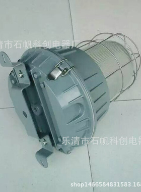 NFC9180防炫泛光灯NFC9180-70W150W  带护罩