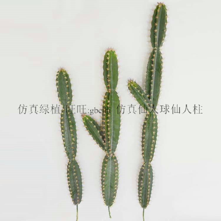 仿真仙人掌热带植物仙人柱摆件假花组合套装ins北欧风格装饰摆件
