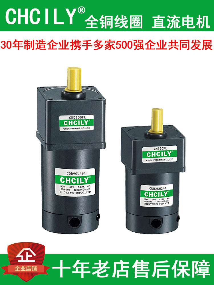 DC24V立式永磁有刷减速电机