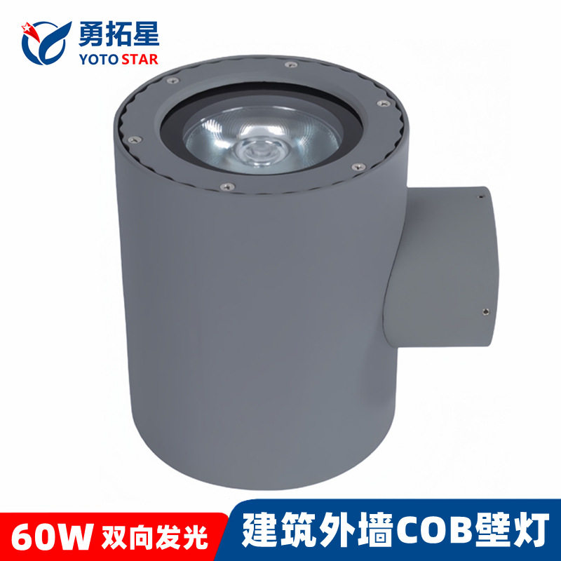 别墅明装投射灯室外上下单向照树灯酒店门柱30W户外COB双向壁灯