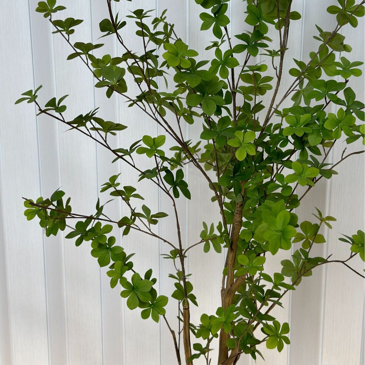 仿真绿植吊钟马醉木日本多瓣叶植物橱窗落地假树家居客厅装饰摆件