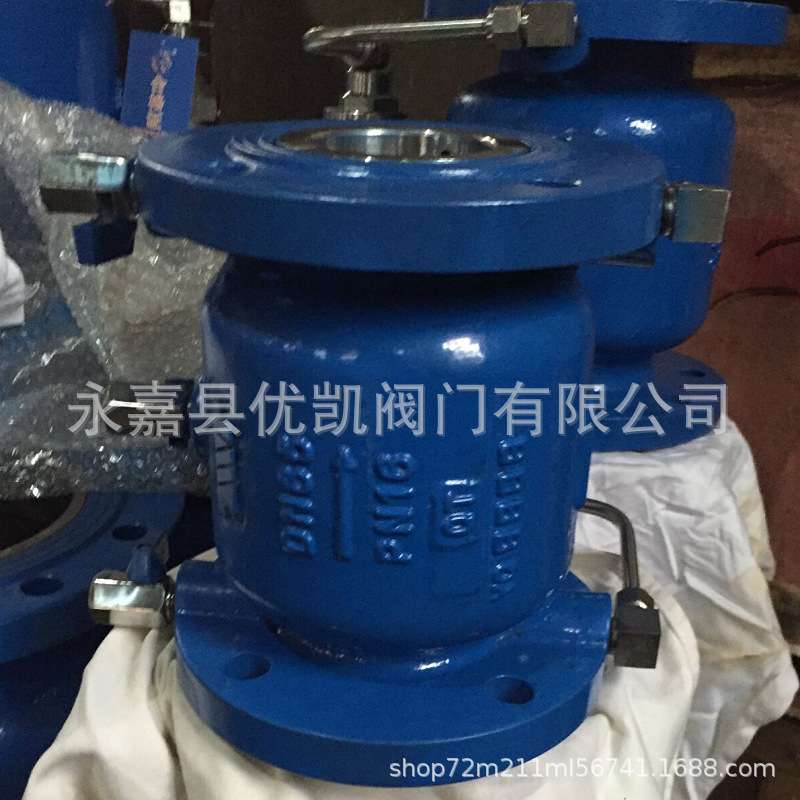 低阻力倒流防止器球墨铸钢不锈钢单向止回阀LHS743X-10防逆流
