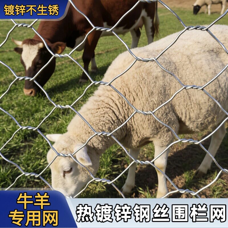 镀锌铁丝网围栏护栏网养殖圈牛羊猪防护网拧花网丝网隔离网六角网