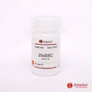 S116020×SSPEBufferPH7.4RNA杂交DNA杂交索莱宝