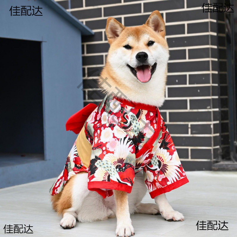 狗狗和服和风日系泰迪柯基雪纳瑞狗柴犬日式和服艺术照