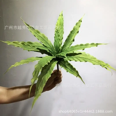 仿真蕨类植物15片鸟巢蕨绿色蕨草