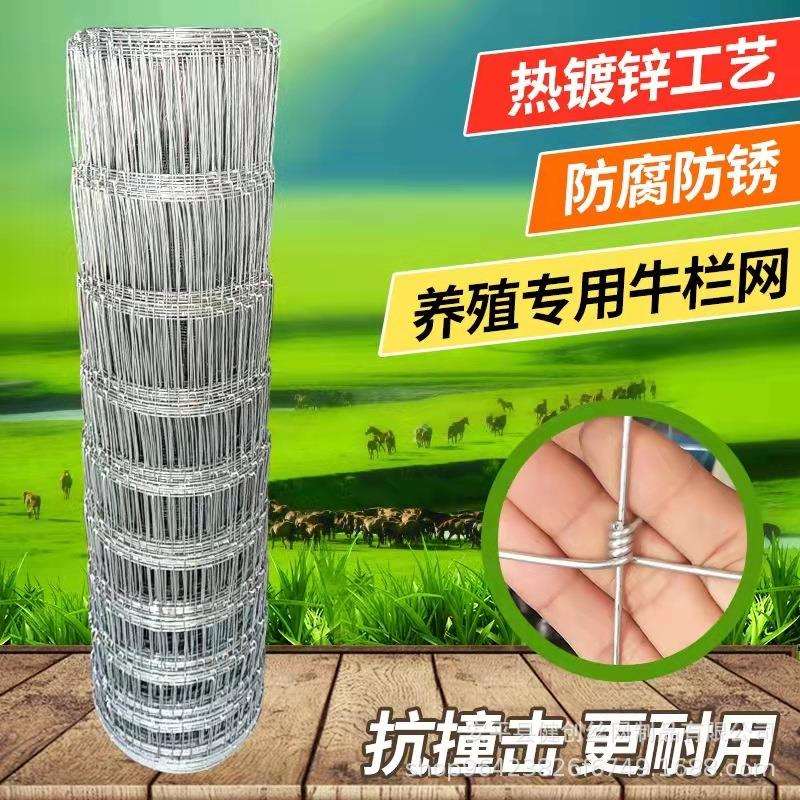 热镀锌钢丝网圈牛羊铁丝网草原养殖场围网圈地果园农场防护网网孔