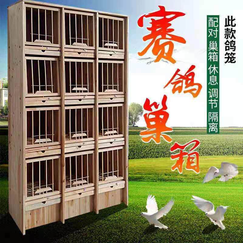 巢箱赛鸽子笼大号配对笼养殖鸽具信鸽实木组合种鸽笼木质子均码