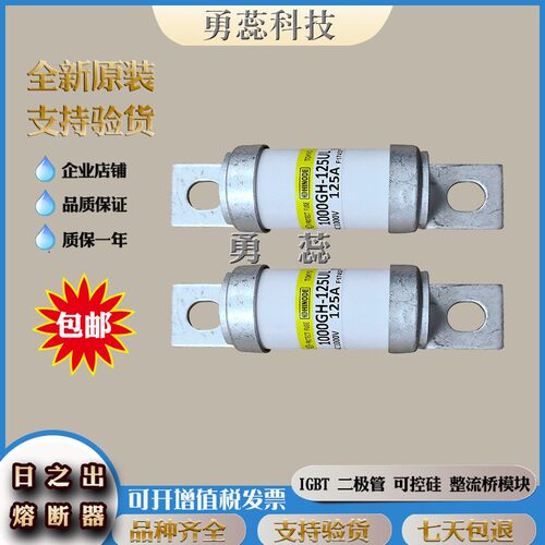 快速熔断器 1000GH-63ULTC 1000GH-80ULTC 1000GH-100ULTC